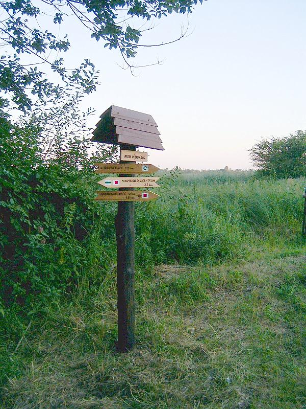2010.07.08. 024.jpg